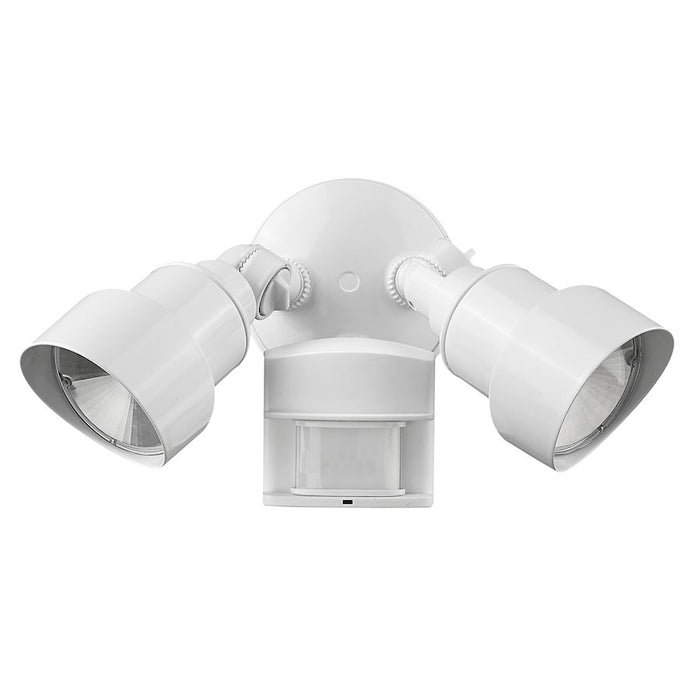 Acclaim Lighting 2-Light 6" LED Flood Light