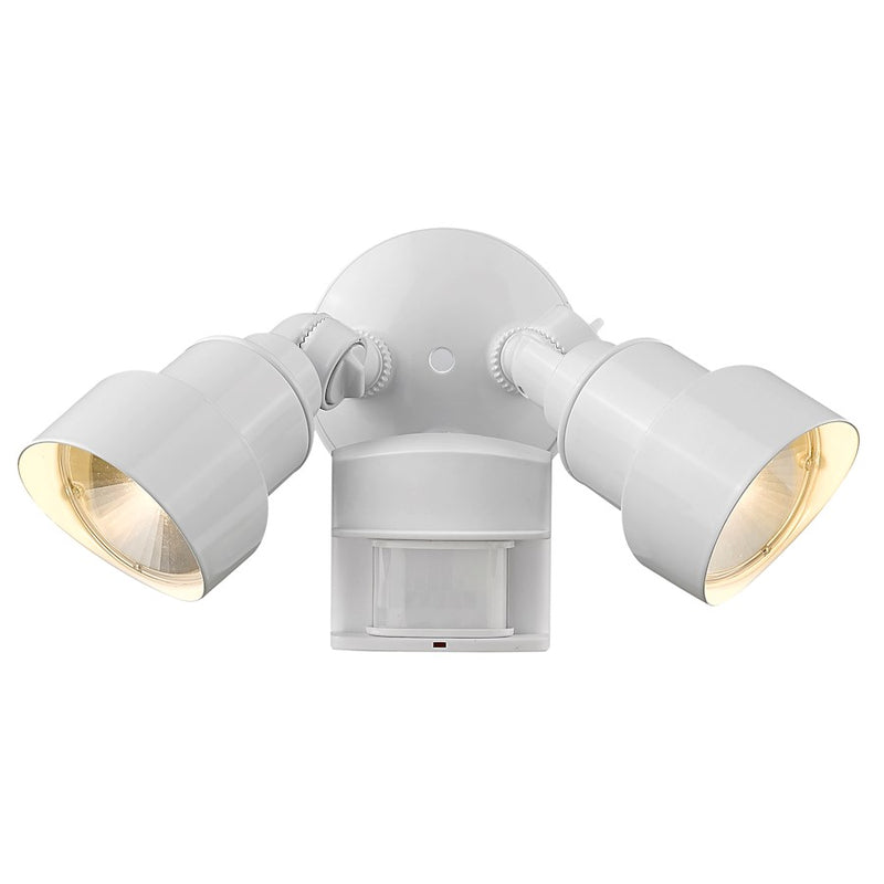 Acclaim Lighting 2-Light 6" LED Flood Light