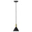 Acclaim Ingo 1 Light Pendant
