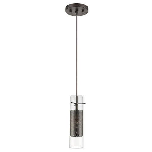 Acclaim Scope 1 Light Pendant, Antique Bronze/Clear Glass/Mesh