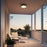 Alteck Ch 9" LED Outdoor Mount, Black/White Opal, Sand Black