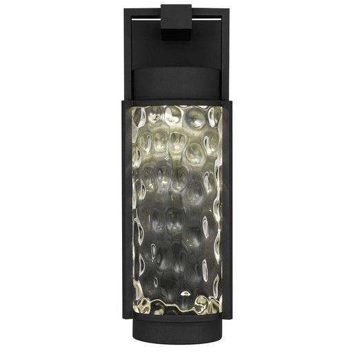 Alteck Winston 16.5" LED Outdoor Sconce, Black/Clear, Black