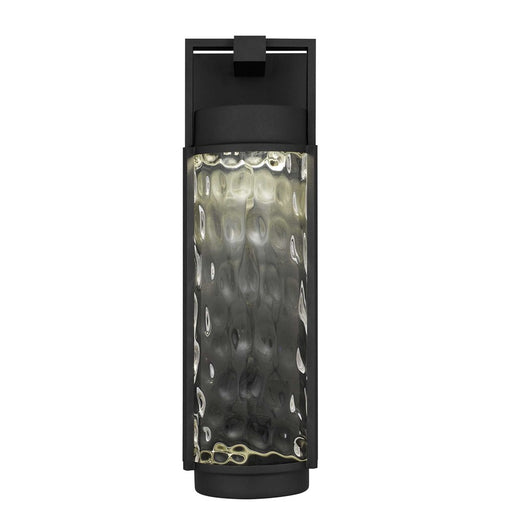 Alteck Winston 21.75" LED Outdoor Sconce, Black/Clear, Black
