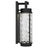 Alteck Winston 21.75" LED Outdoor Sconce, Black/Clear, Black