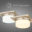 Alteck Grande 10" LED Flush Mount, Brushed, Brushed Nickel