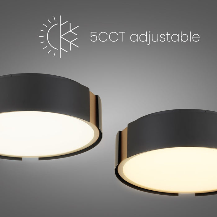 Alteck Milan 10" LED Flush, Matte, Black with Brass Accent
