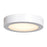 Access Lighting Ulko Exterior Outdoor Flush Mount