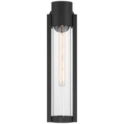 Access Lighting Coastal Outdoor Wall Mount, 20"H, Black/Clr