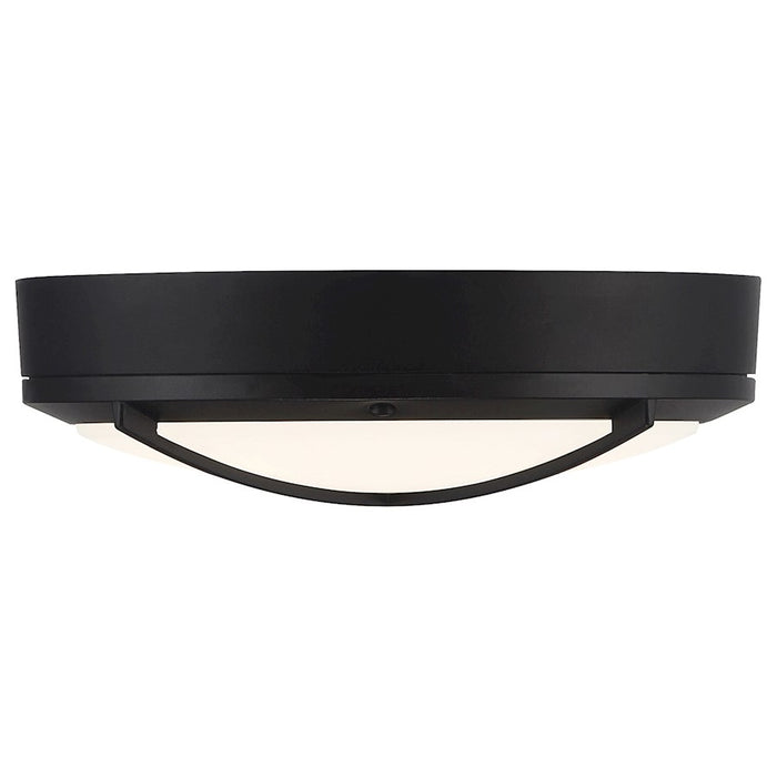 Access Lighting Meridian Outdoor LED Flush, Black/Frosted