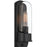 Access Lighting Magnolia Outdoor Wall Mount, Black/Clear