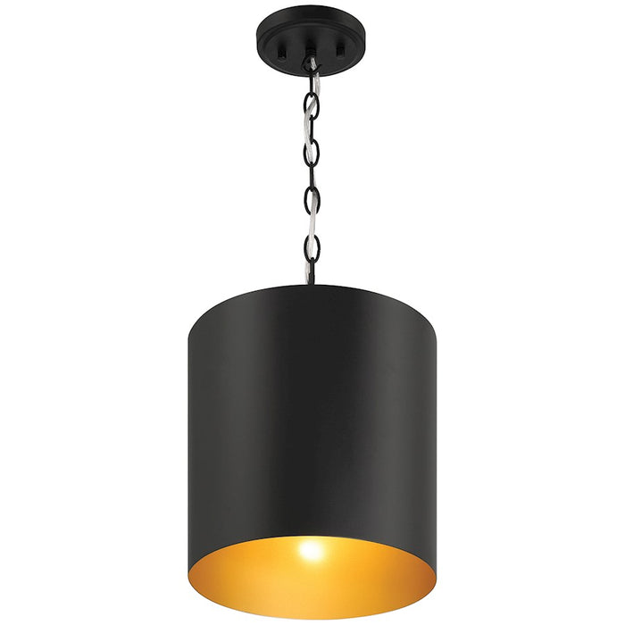 Access Lighting Knox 1 Light Pendant, Matte Black