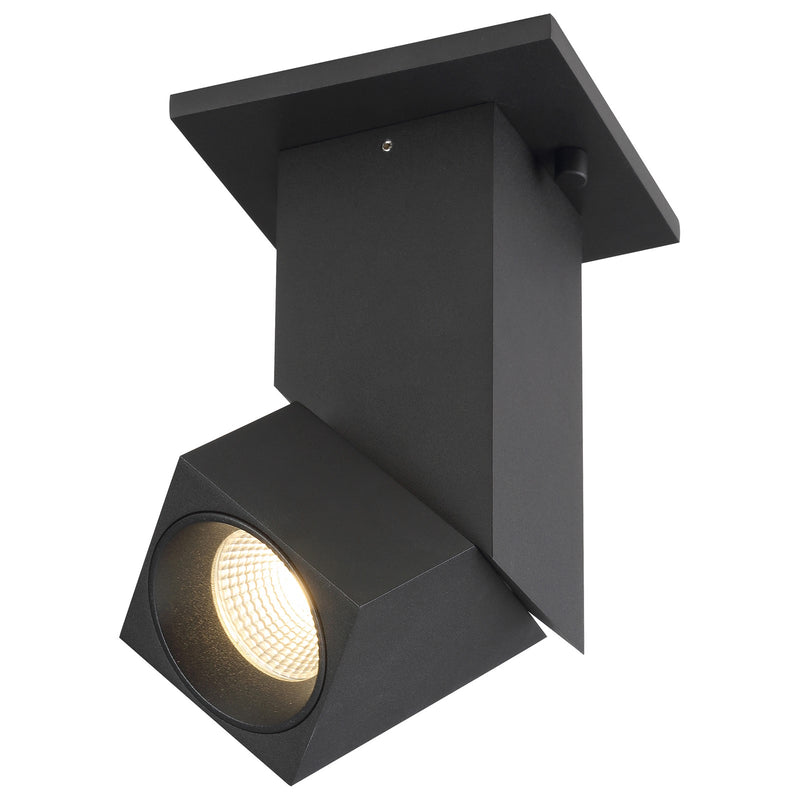 Access Transformer Dual Voltage LED Spotlight, Black/Clr