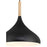 Access Lighting Olivia 1 Light Pendant, Black