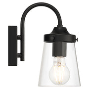 Access Lighting Dickens 1 Light Wall Sconce, Black/Clear