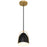 Access Lighting Axel 1 Light Pendant, Matte Black