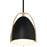 Access Lighting Axel 1 Light Pendant, Matte Black