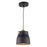 Artcraft Euro Industrial 1 Light Pendant, Matte Black/Harvest Brass