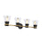 Artcraft Kanata 4-Light Vanity Light, Black