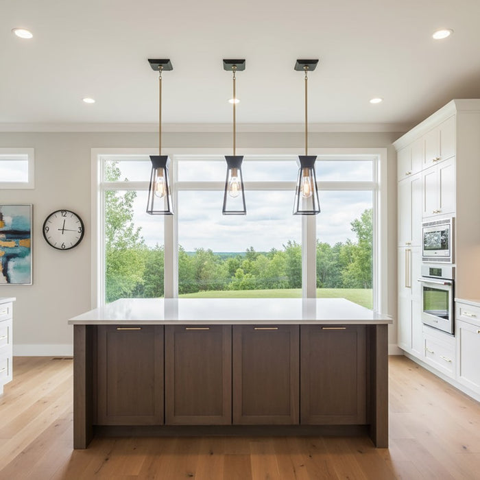 Artcraft Lucian 1 Light Pendant, Black/Brushed Brass/Clear