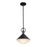 Artcraft Abruzzo 1 Light Pendant, Black/White