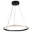 Artcraft Nova 2W LED Pendant, Black