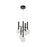 Artcraft Terra 5Lt LED 12" Chandelier, Black/Clear