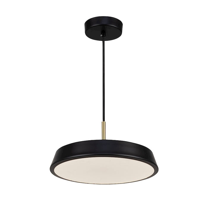 Artcraft Lexi 1 Light 12" Pendant, Black/Black - AC6900BK