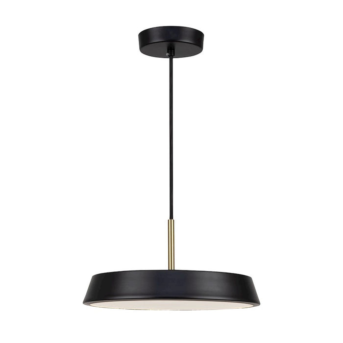 Artcraft Lexi 1 Light 12" Pendant, Black/Black