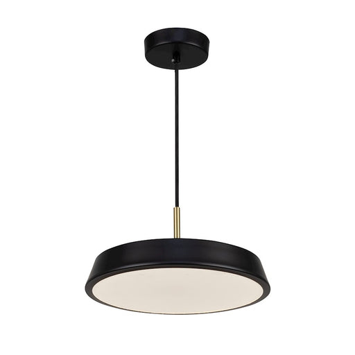 Artcraft Lexi 1 Light 16" Pendant, Black/Black - AC6901BK