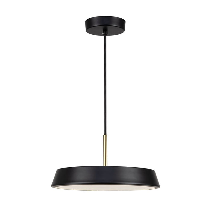 Artcraft Lexi 1 Light 16" Pendant, Black/Black