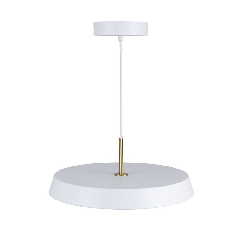 Artcraft Lexi 1 Light 16" Pendant, White/White