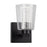 Artcraft Dalton 1 Light Bathroom Sconce, Black/Clear - AC7351BK