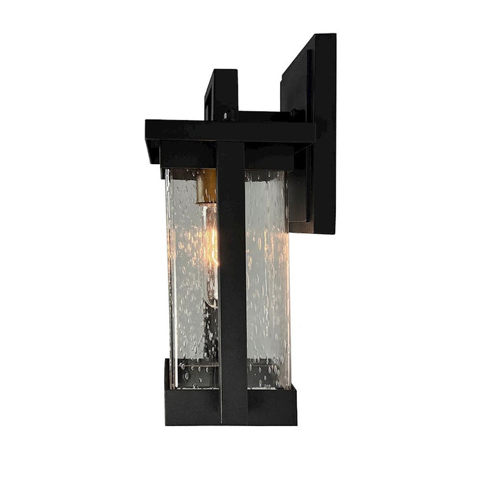 Artcraft Port Charlotte 1 Light 12" Outdoor Wall Light, Black/Clear