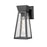 Artcraft Lucian 1 Light 12" Outdoor Wall Light, Black/Clear