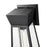 Artcraft Lucian 1 Light Outdoor Wall Light, Black/Clear