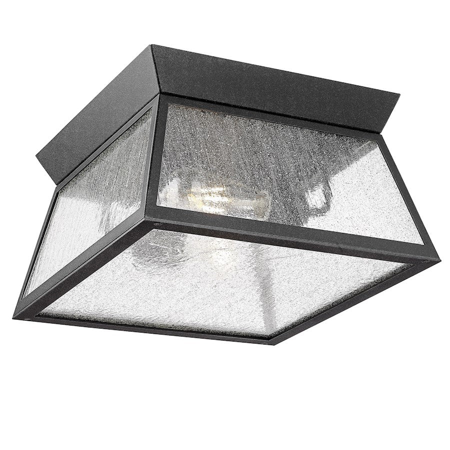 Artcraft Lucian 2 Light Outdoor Flush Mount, Black/Clear - AC8866BK