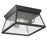 Artcraft Lucian 2 Light Outdoor Flush Mount, Black/Clear