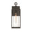 Artcraft Portside 1 Light 18" Outdoor Wall Sconce, Black/Clear