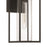 Artcraft Portside 1 Light 18" Outdoor Wall Sconce, Black/Clear