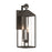 Artcraft Portside 3 Light Outdoor Wall Sconce, Black/Clear
