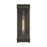 Artcraft Azure Bay 1 Light Outdoor Wall Sconce, Black/Clear