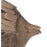 Atlas Lighting Angel Fish Decorative Object, Natural
