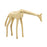 Atlas Lighting Brass Giraffe Sculpture/Small, Polished Brass