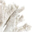 Atlas Lighting Coral Sculpture, Set of 2, White