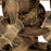 Atlas Lighting Flint Sculpture, Antique Brass