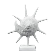 Atlas Lighting Marco Shell, Textured White - AC11461-01