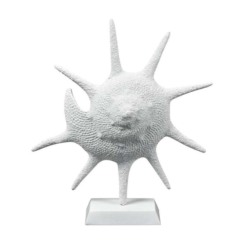 Atlas Lighting Marco Shell | Transitional Textured White Composite Sculpture | Coastal Living Room & Entryway Decor | Model AC11461-01