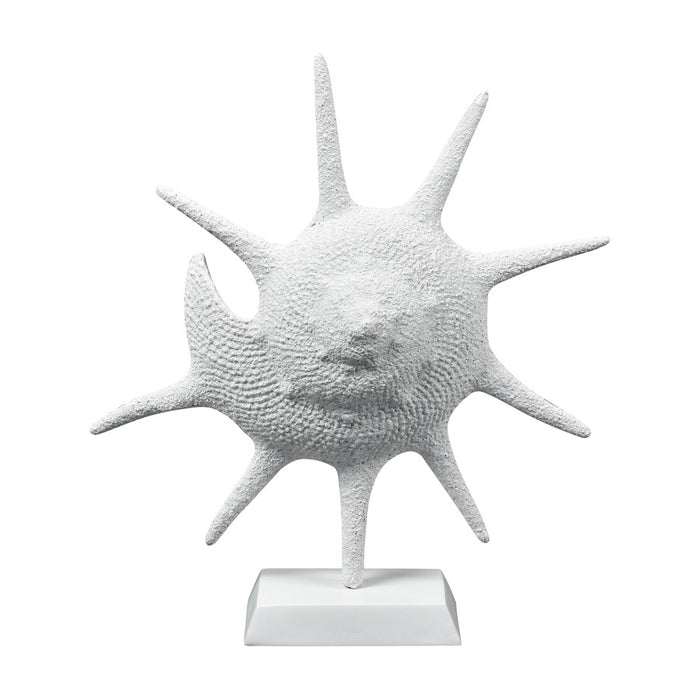Atlas Lighting Marco Shell, Textured White - AC11461-01