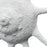 Atlas Lighting Marco Shell, Textured White