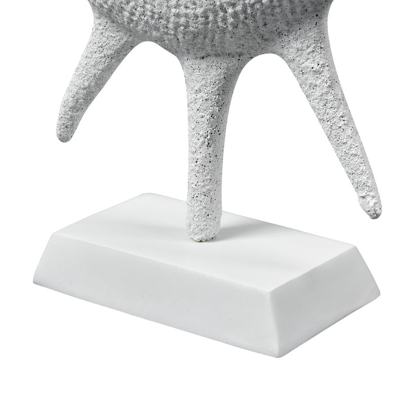 Atlas Lighting Marco Shell | Transitional Textured White Composite Sculpture | Coastal Living Room & Entryway Decor | Model AC11461-01